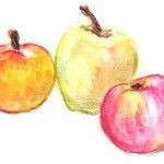 Alimentos26