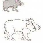 DIBUJO DE JABALI PARA COLOREAR