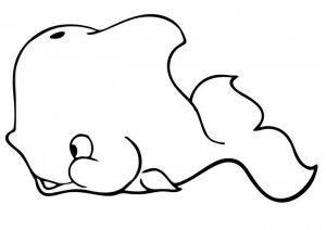 DIBUJOS DE BALLENA PARA COLOREAR